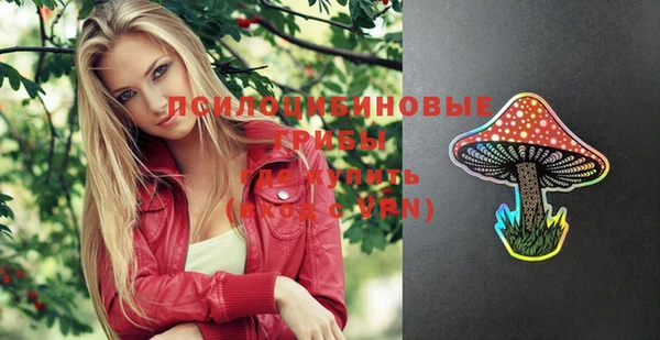 Альфа ПВП Новодвинск