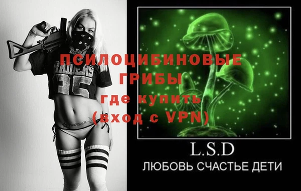 амф Новокубанск