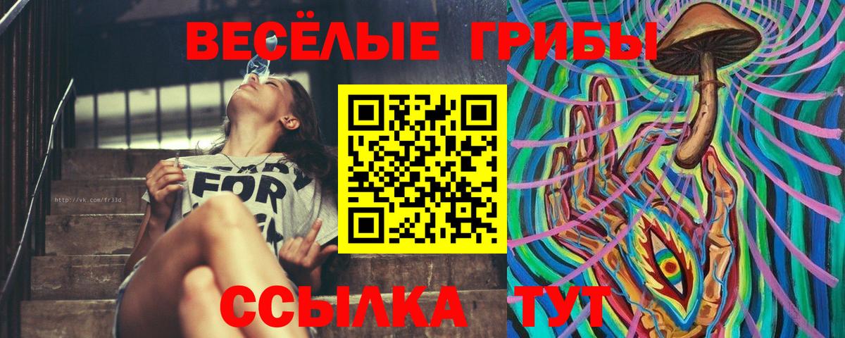 Галлюциногенные грибы Cubensis  Вход с VPN  Галлюциногенные грибы MAGIC MUSHROOMS  Новоуральск 
