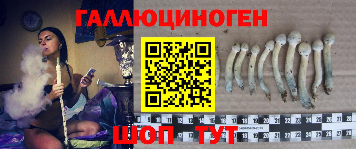 Галлюциногенные грибы MAGIC MUSHROOMS Новоуральск